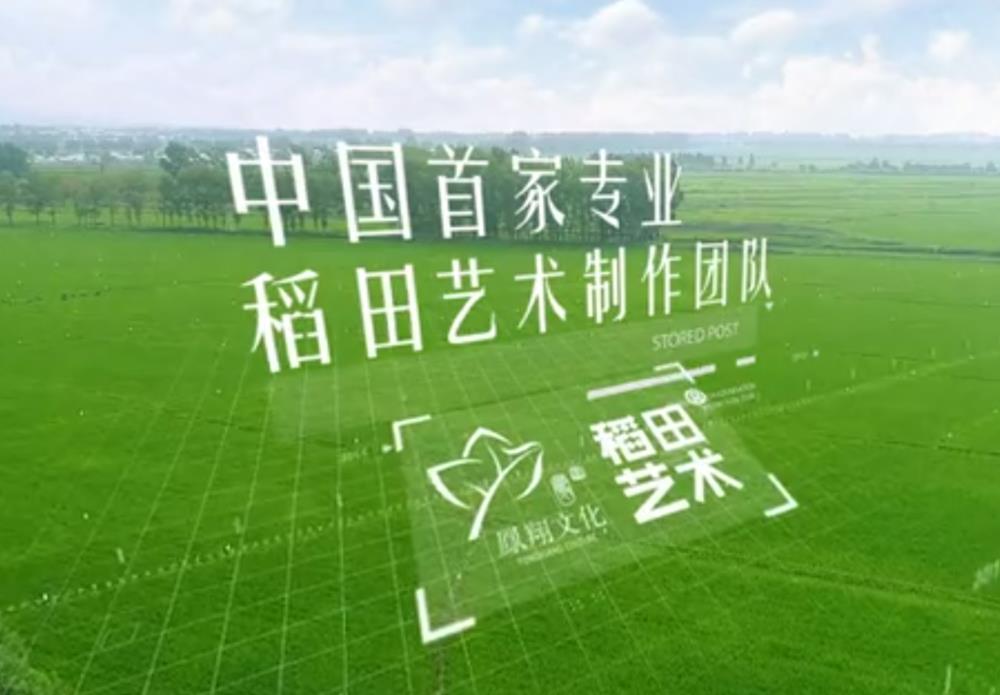 中国稻田艺术行业标准制定者