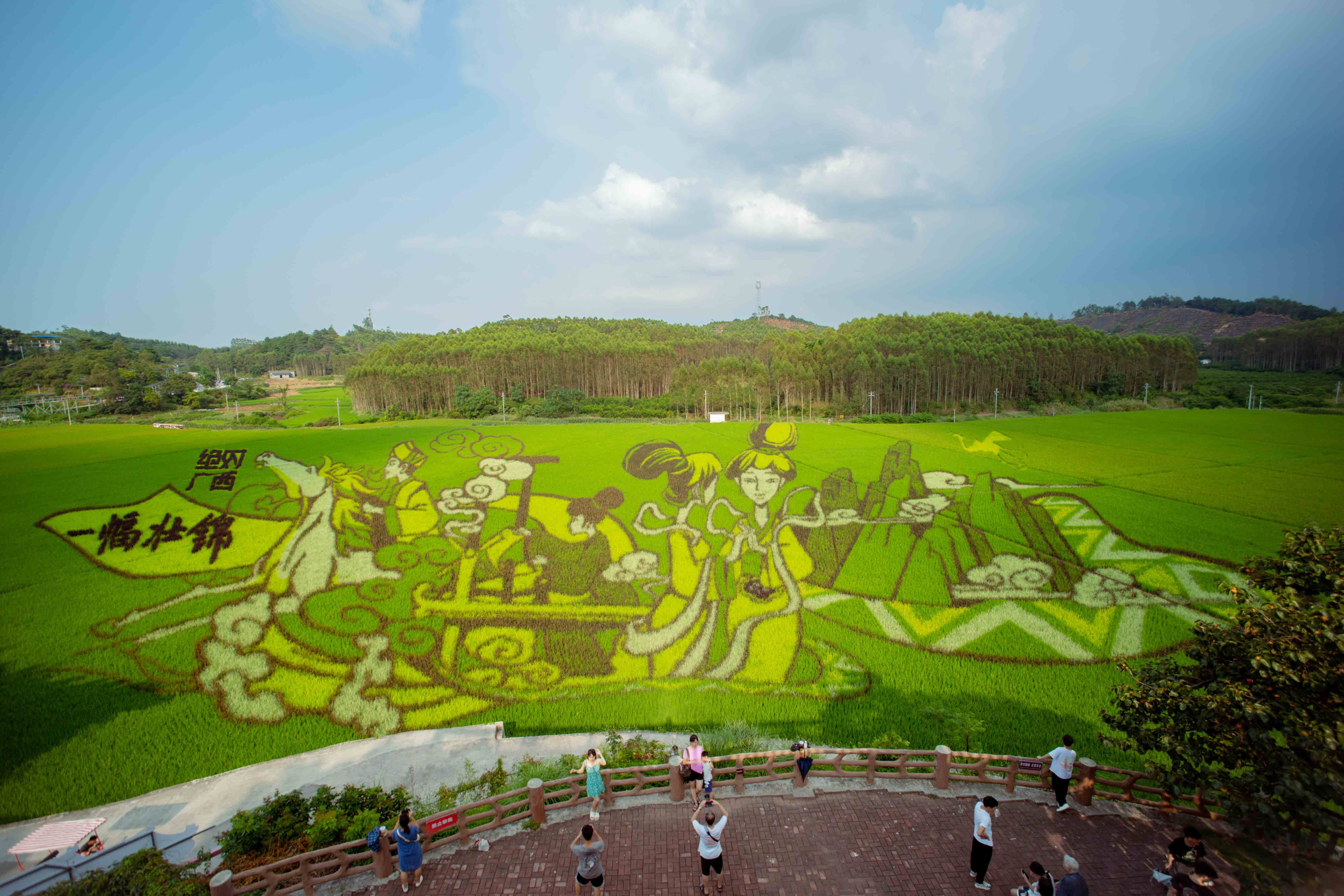 2023年广西宾阳大陆村稻田艺术（绝对广西系列）